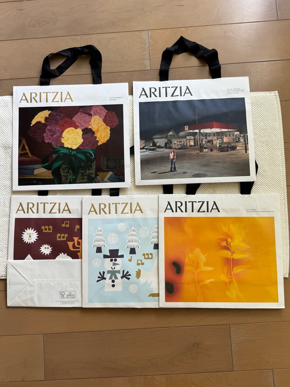 FIVE Aritzia Shopping Bags 🛍️ by Caitlyn Murphy,Gregory Crewdson..